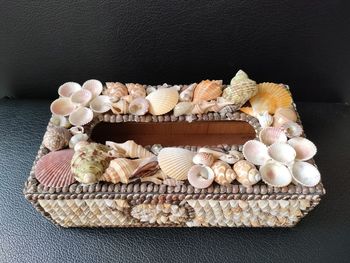 High angle view of shells on table