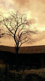 Bare trees against cloudy sky