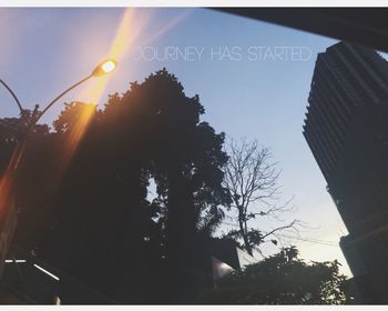 Low angle view of sun shining through trees