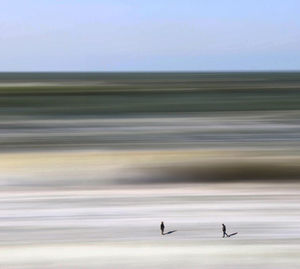 View of birds flying over sea against sky