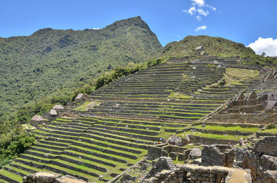 Scenic view of farm against sky