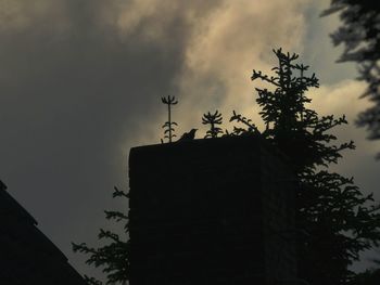 Low angle view of silhouette tree against sky