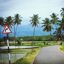 Road sign by palm trees against sky