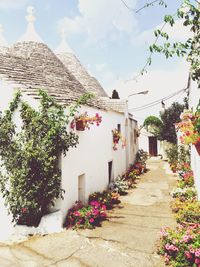 Flowers on street by trulli houses against sky at alberobello