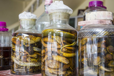 Close-up of snakes in glass bottle on table