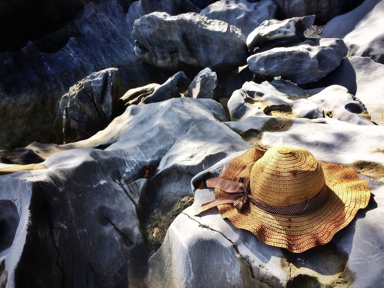 rock - object, nature, water, rock formation, rock, stone - object, beach, close-up, tranquility, textured, beauty in nature, outdoors, no people, day, natural pattern, log, sunlight, high angle view, stone, shore