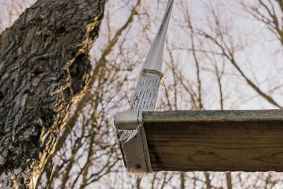 Low angle view of homemade swing on tree