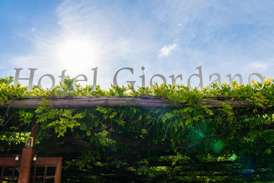 Low angle view of plants growing on field against sky