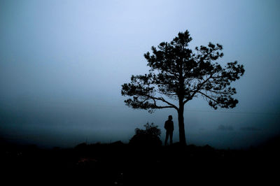 Silhouette tree on landscape against sky at dusk