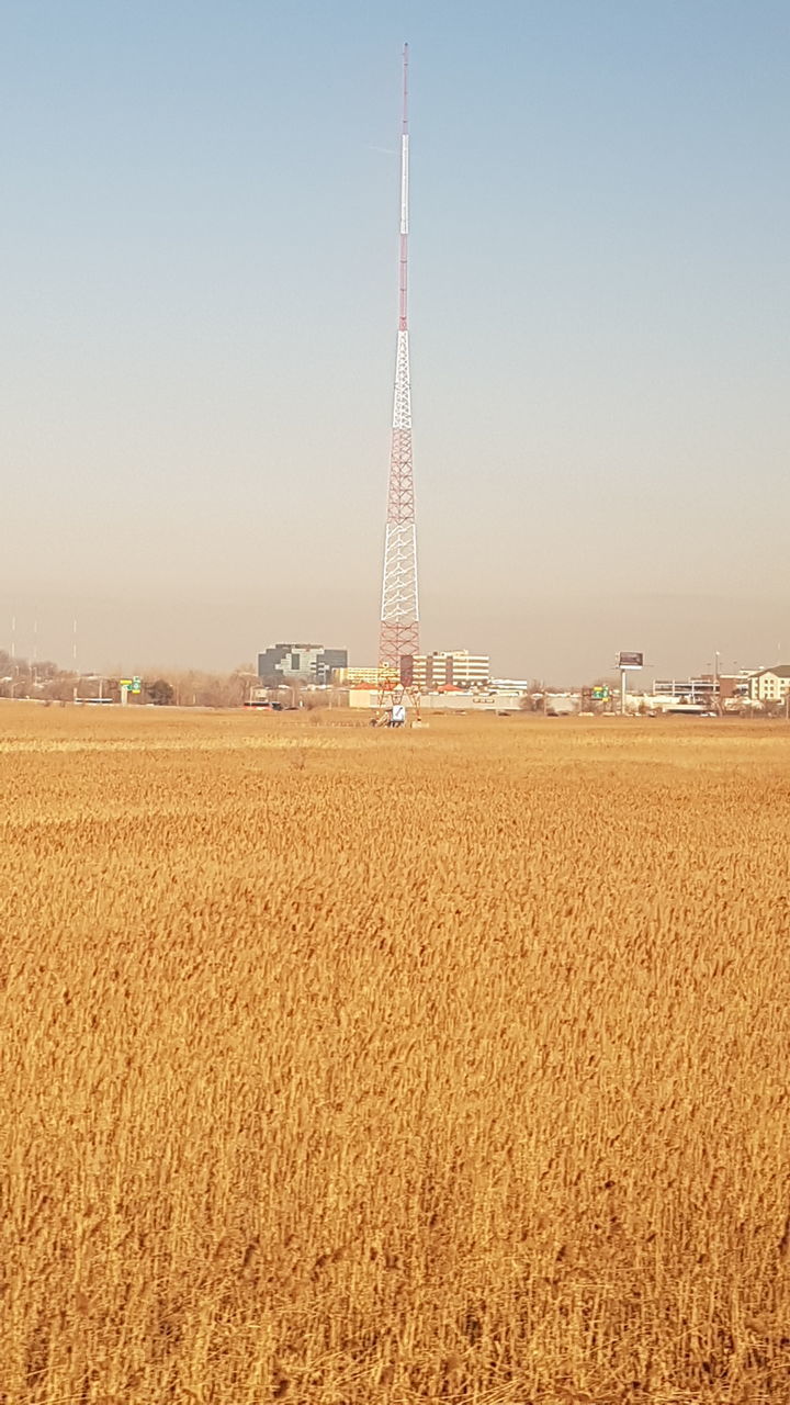 CRANES ON FIELD AGAINST CLEAR SKY