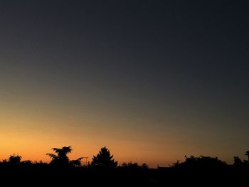 Low angle view of silhouette trees against clear sky