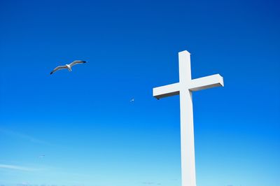 Low angle view of seagull against clear blue sky
