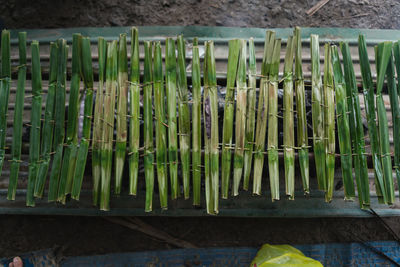 High angle view of vegetables hanging on wood