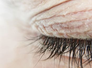 Close-up of woman eye