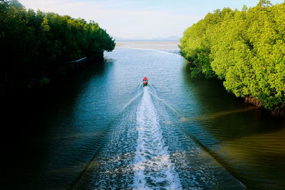 Boat on river amidst trees