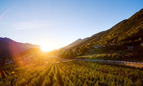 Scenic view of field against bright sun