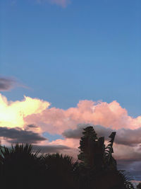 Low angle view of silhouette trees against sky during sunset