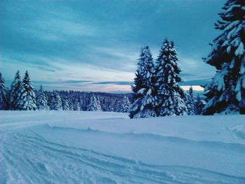 Scenic view of snow covered landscape