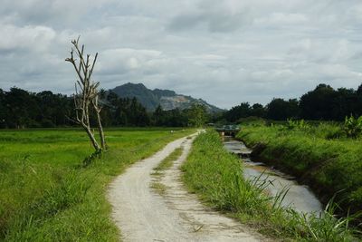 Road amidst agricultural field against sky