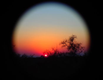 Silhouette tree against orange sky