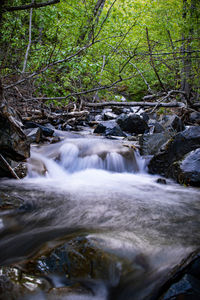 Scenic view of waterfall in forest