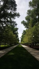 Road amidst trees against sky