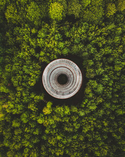 Directly above shot of built structure amidst trees in forest