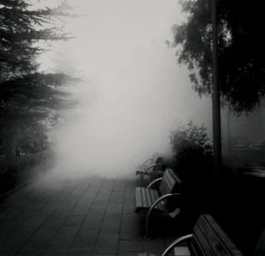 fog