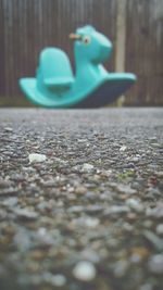 Close-up of plant against blurred background