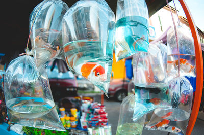 Fishes in plastic bags hanging at market for sale