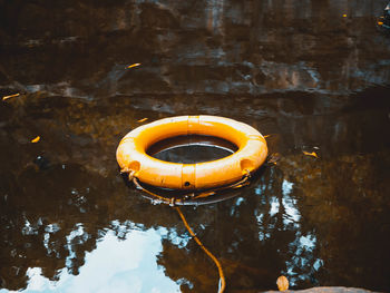 Close-up of yellow floating on water