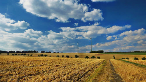 Scenic view of agricultural field against sky