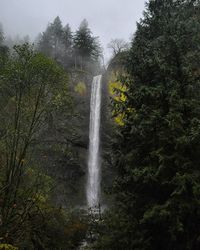 Waterfall in forest