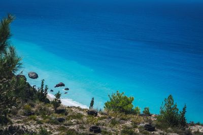 High angle view of plants and sea against blue sky