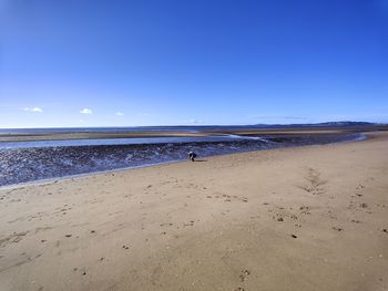 Scenic view of beach against blue sky