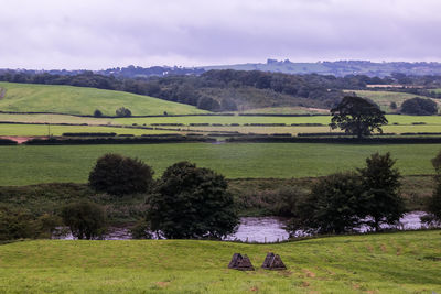 Scenic view of field against sky