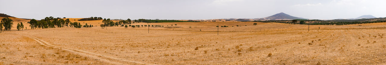 Panoramic view of landscape and mountains against sky