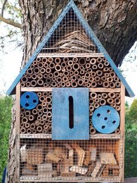 Close-up of birdhouse on tree trunk