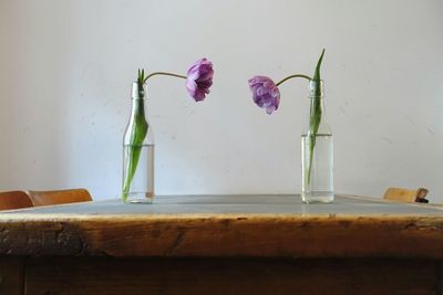 Close-up of flowers in vase