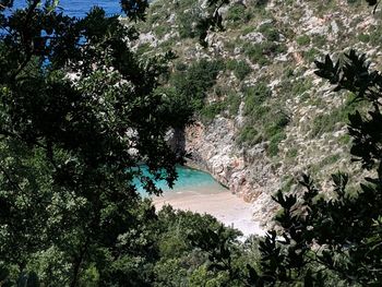 High angle view of trees by sea