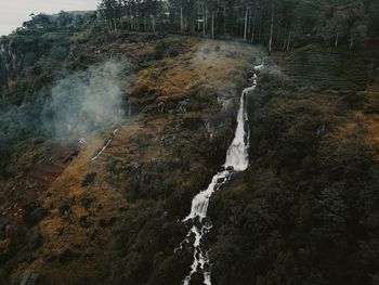 High angle view of waterfall in forest