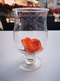 Close-up of beer in glass on table