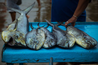 Close-up of fishes on sale in market