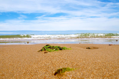 Scenic view of beach against sky