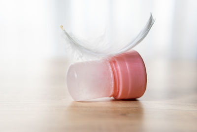 Close-up of feather on table against white background