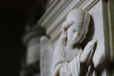 Close-up of statue against blurred background