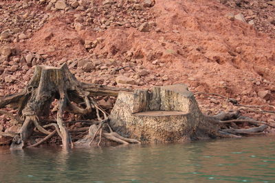 Scenic view of rocks in sea