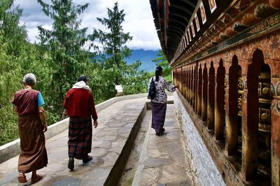 Rear view of people walking on cross against trees