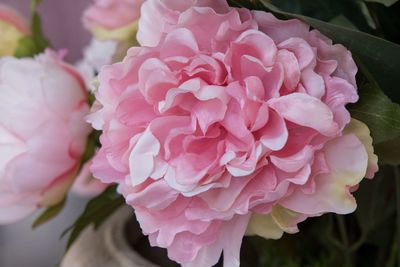 Close-up of pink rose bouquet