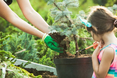 Midsection of woman holding potted plant in yard